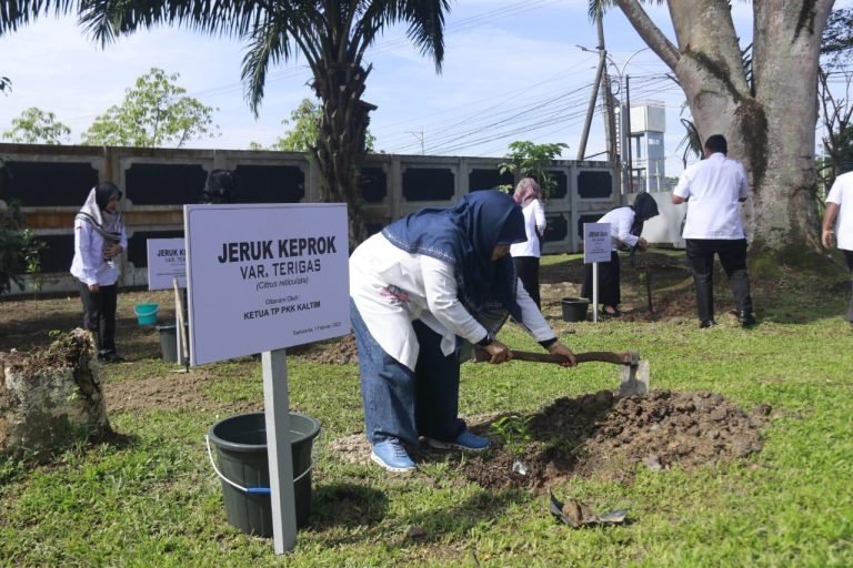 Aksi Solidaritas Era Kabinet Indonesia Serentak Tanam Seribu Pohon Untuk Lindungi Tanah
Telah dibaca : 741 Kali.