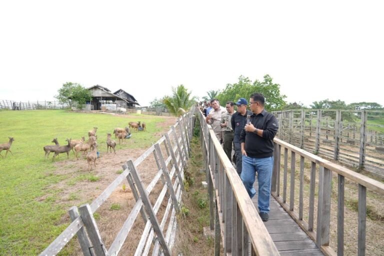 Penjabat (Pj) Gubernur Kalimantan Timur (Kaltim) Akmal Malik memuji keberhasilan UPTD Pembibitan Ternak Hijauan Pakan Ternak (PTHPT) Dinas Peternakan dan Kesehatan Hewan Provinsi Kaltim dalam budidaya rusa sambar.