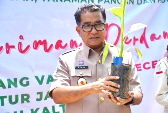 Melepas Pengiriman 6.000 Pisang ke Kutim, Pemprov Dorong Kerja Sama Daerah Lain Penjabat (Pj) Gubernur Kalimantan Timur (Kaltim) Akmal Malik berharap pengiriman benih pisang dapat dilakukan ke daerah-daerah lain di Kaltim, tak hanya di Kutai Timur mengingat lahan yang tersedia masih cukup luas