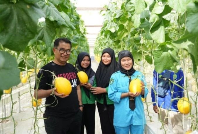 Akmal Malik Minta DPTPH Kembangkan Praktik Pembinaan Lewat PKL Penjabat (Pj) Gubernur Kalimantan Timur (Kaltim) Akmal Malik berharap praktik-praktik semacam pelatihan dan pembinaan bagi siswa-siswa sekolah di Kaltim melalui program PKL bisa dilakukan dan semakin dikembangkan Dinas Pangan TPH melalui UPTD BPPSDMP Sempaja Samarinda.