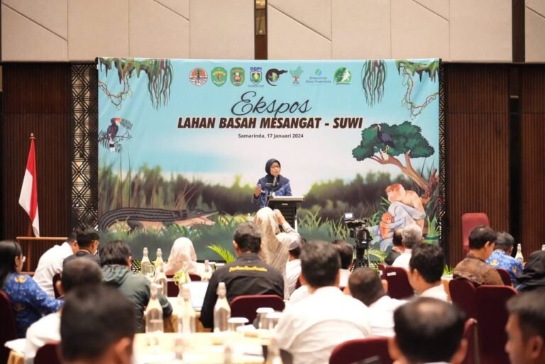 Sekretaris Daerah (Sekda) Kalimantan Timur (Kaltim) Sri Wahyuni menginginkan Kawasan Ekosistem Penting Lahan Basah Mesangat-Suwi tidak hanya untuk menjaga nilai ekologi sosial ekonomi saja, tetapi bisa menjadi ekowisata.