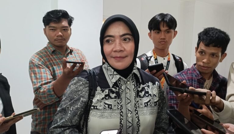 Anggota Komisi II DPRD Samarinda Laila Fatihah menyuarakan keprihatinannya terkait konsep pengembangan Kawasan Citra Niaga yang masih ambigu.