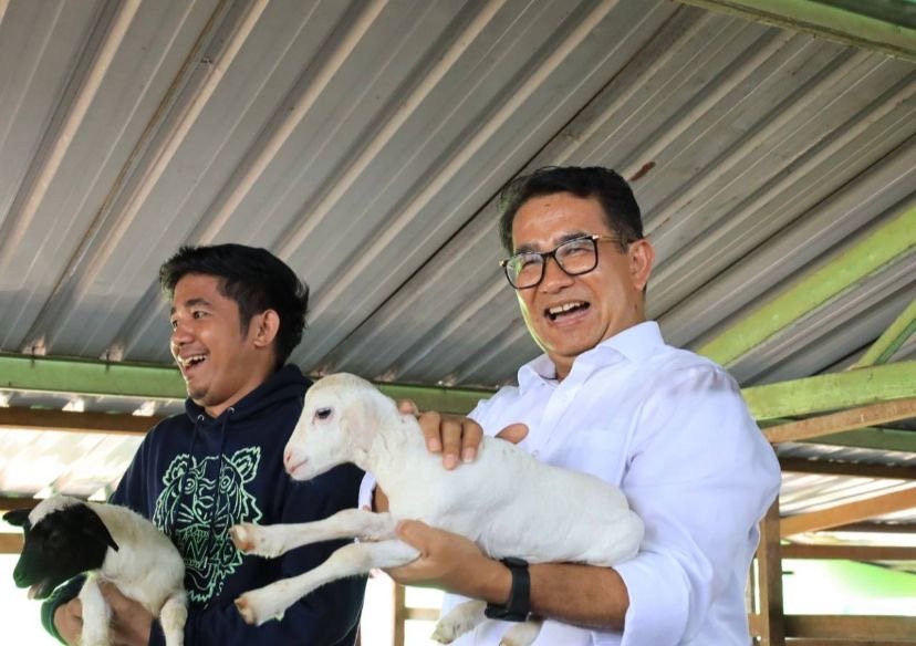 Akmal Malik Salut Anak Muda Pilih Beternak, Lihat Kambing Kecil Sudah Bahagia Penjabat (Pj) Gubernur Kalimantan Timur (Kaltim) mengaku sangat menghargai pilihan anak-anak muda untuk bertani, beternak atau berkebun.