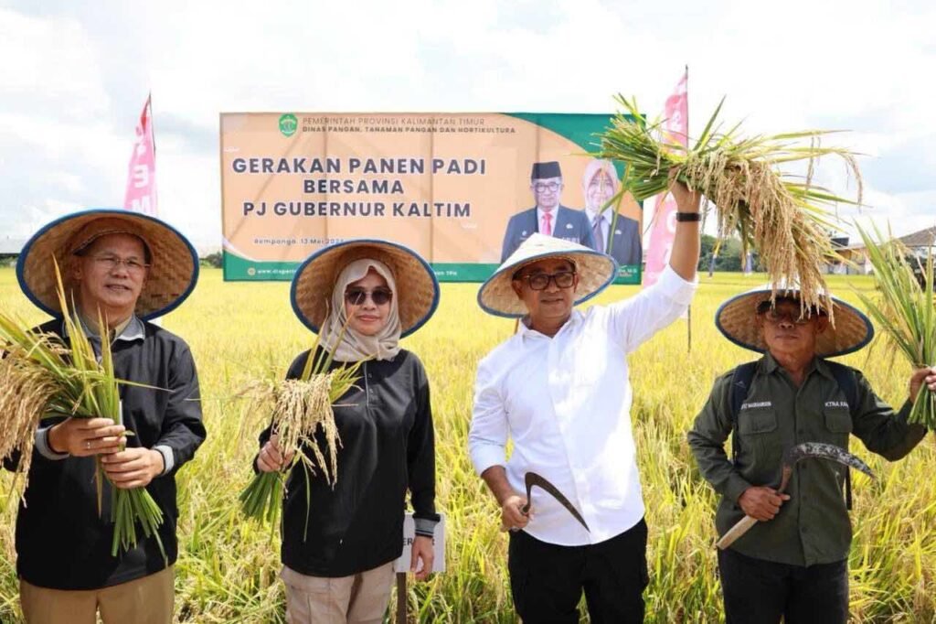 Pj Gubernur Puji UPTD BBI Panen Perdana Padi 4 Varietas Seluas 8 Hektare Penjabat (Pj) Gubernur Kalimantan Timur (Kaltim) Akmal Malik memuji UPTD Balai Benih Induk (BBI) Tanaman Pangan dan Holtikultura yang telah dan terus berkontribusi dalam peningkatan produktivitas pangan di Kaltim.