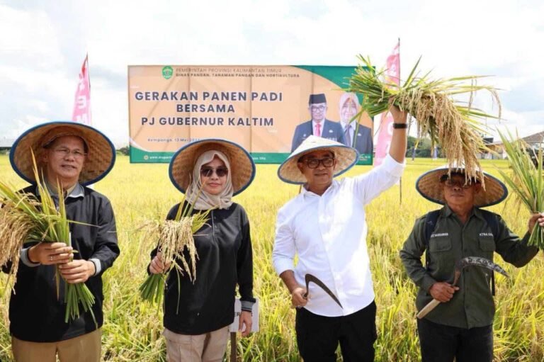 Penjabat (Pj) Gubernur Kalimantan Timur (Kaltim) Akmal Malik memuji UPTD Balai Benih Induk (BBI) Tanaman Pangan dan Holtikultura yang telah dan terus berkontribusi dalam peningkatan produktivitas pangan di Kaltim.