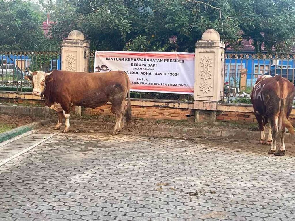 Masjid Baitul Muttaqien Islamic Center Samarinda Kalimantan Timur (Kaltim) kembali menjadi lokasi penerimaan hewan kurban Hari Raya Iduladha 1445 Hijriyah 2024.
