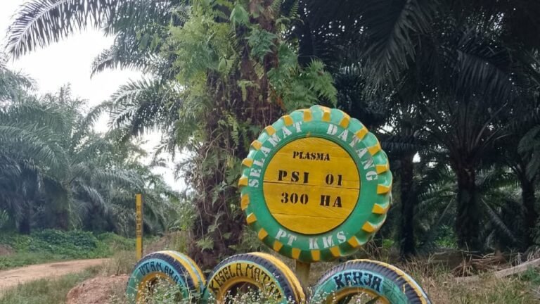 Sengketa pembagian lahan perkebunan plasma kelapa sawit antara KSU Wira Benua dan PT Kutai Mitra Sejahtera (KMS) yang berlangsung sejak 2017, semakin memanas dan belum menemukan solusi.