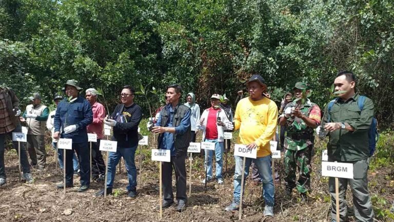 Memperingati Hari Mangrove Internasional pada 26 Juli 2024, Yayasan Mangrove Lestari (YML - Delta Mahakam) dengan dukungan Tropical Forest Carbon Act (TFCA) Kalimantan mengadakan gerakan pesisir hijau di Pantai Love, Desa Tanjung Limau, Kecamatan Muara Badak, Kabupaten Kutai Kartanegara, Kalimantan Timur (Kaltim), Sabtu (27/7/2024).