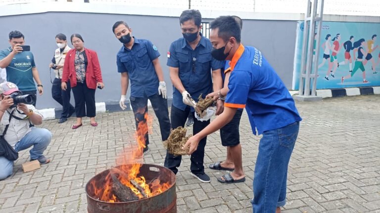 BNNP Kaltim Musnahkan 4,5 Kg Narkotika, Ungkap Jaringan Lintas Negara dan Peran Kurir Perempuan
Telah dibaca : 830 Kali.