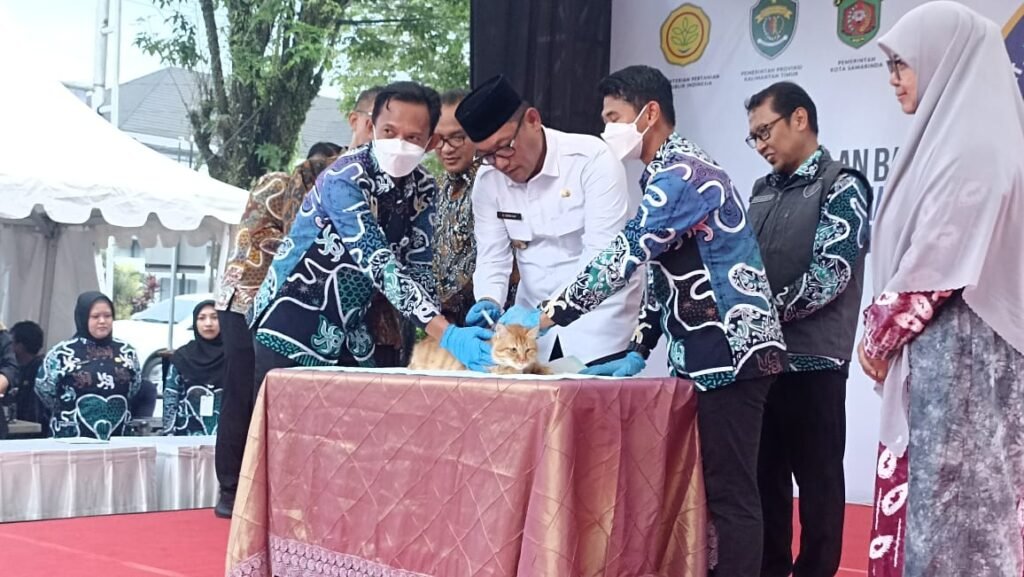 Pemprov Kaltim Genjot Kemandirian Pangan Lewat Penguatan Sektor Peternakan