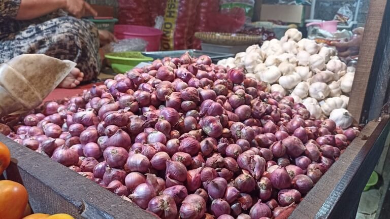 Harga Bawang Merah di Pasar Segiri Samarinda Meroket Jelang Nataru, Tembus Rp65 Ribu per Kg akibat Pasokan Terbatas
Telah dibaca : 793 Kali.