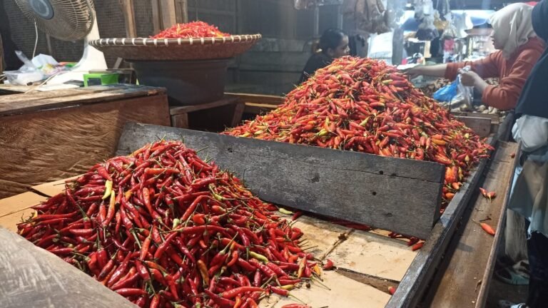 Harga Cabai di Pasar Segiri Samarinda Masih Fluktuatif Jelang Nataru 2025/2026, Turun Rp3 Ribu per Kg
Telah dibaca : 787 Kali.