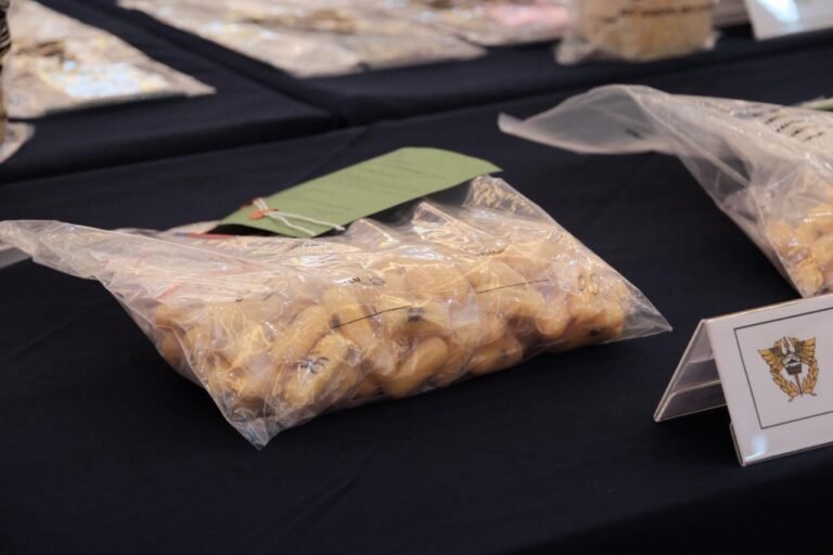 Bea Cukai dan Polri Bongkar Penyelundupan 156 Kapsul Sabu Modus Telan di Bandara Soekarno-Hatta
Telah dibaca : 642 Kali.