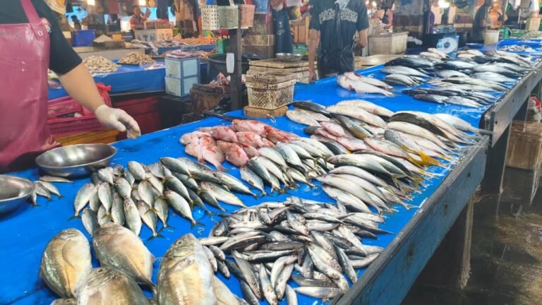 Harga Ayam, Ikan dan Daging di Pasar Segiri Samarinda Mulai Naik Jelang Lebaran
Telah dibaca : 633 Kali.