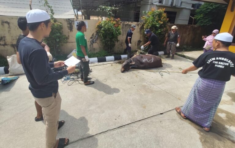Aksi Berbagi di Hari Raya Kurban, PWI Kaltim Sembelih Dua Ekor Sapi
Telah dibaca : 632 Kali.